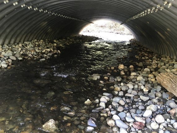 Restored fish passage culvert on Golde Creek - Inside channel