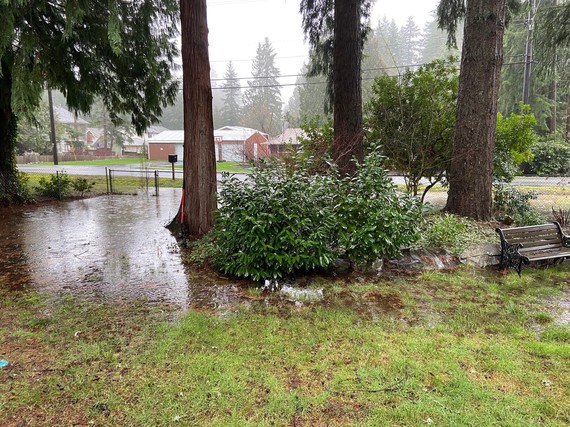 Flooded front yard after a heavy rainfall in 2020.