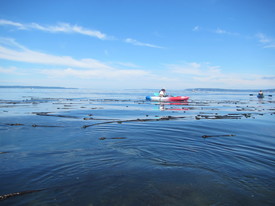Kayaking