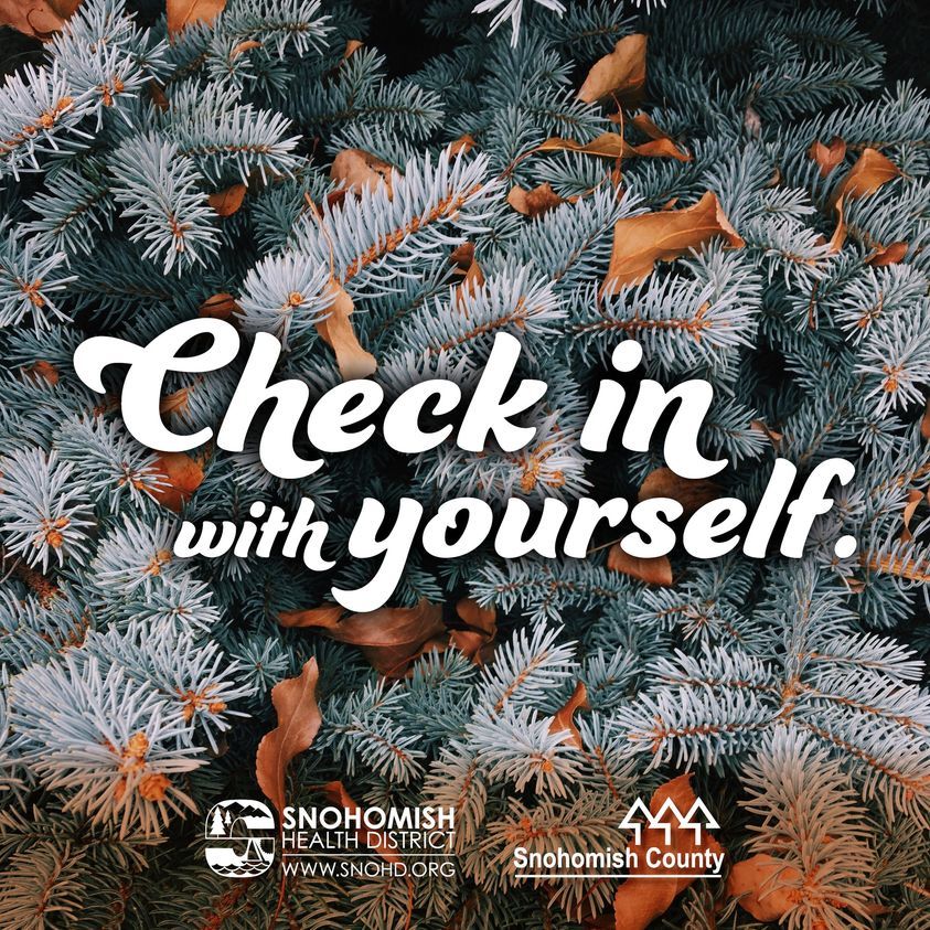Conifer trees with "Check in with yourself" written in white lettering