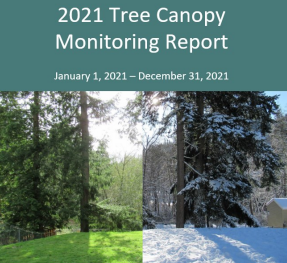 tree canopy report cover image