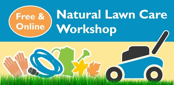 Natural Yard Care workshop - Free and Online