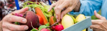 Senior Farmers Market