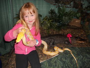 A person holds a snake at Brad's world reptiles.