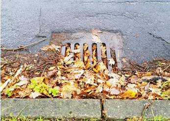 Clogged Storm Drain