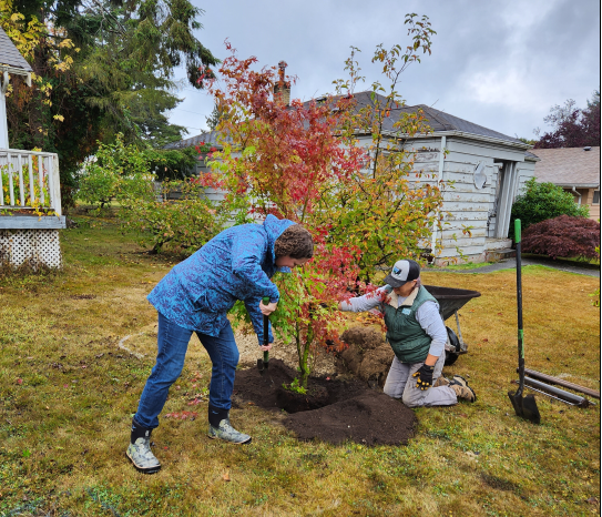 Conservation District Tree Planting
