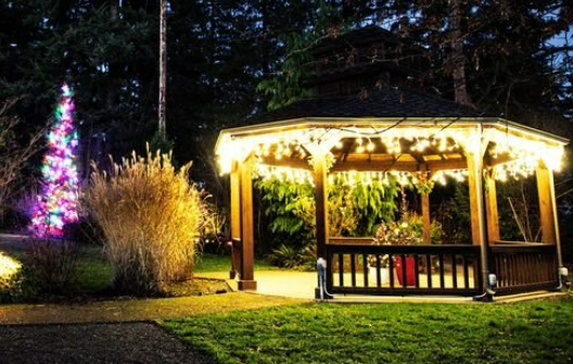 Everett Arboretum Lights