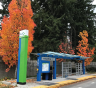 image of trees by a bus stop