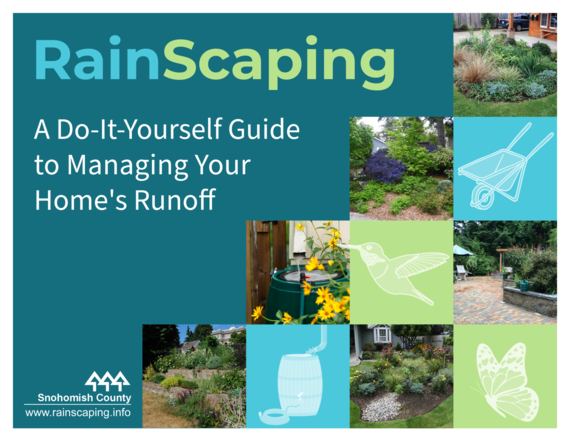 Download the RainScaping Guide to find runoff solutions for your home.