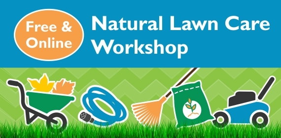 Natural Lawn Care workshops - register today for April 11 or 13.