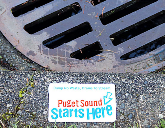 Puget Sound Starts Here - storm drain