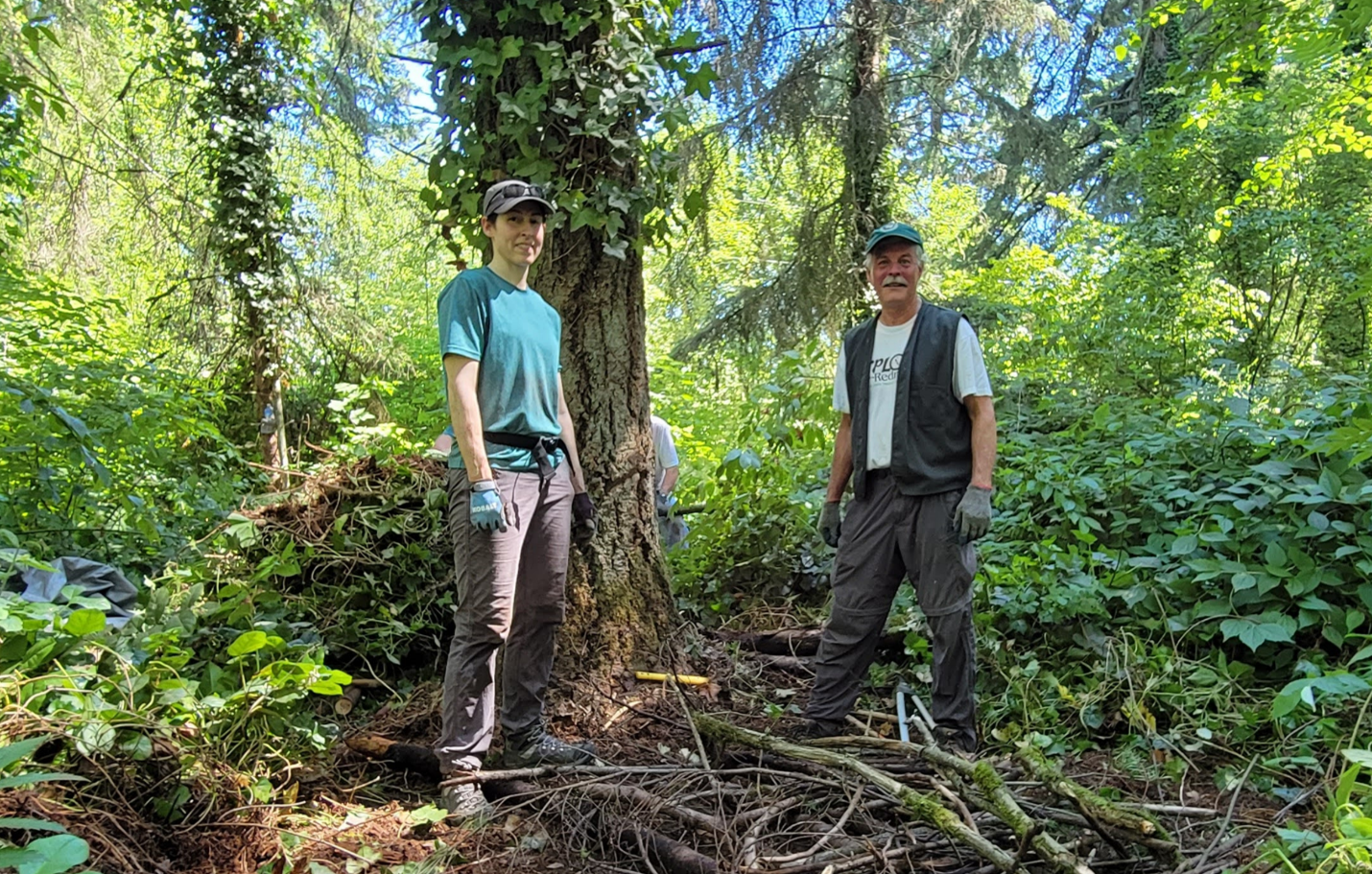 Lake Stickney June 2021. Two volunteers take a break to look at the camera while creating an ivy survival ring around a large tree.