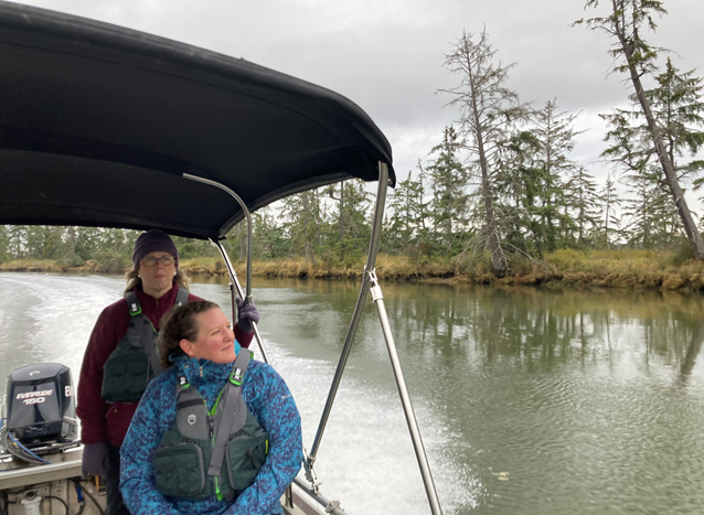 Marsh Tour