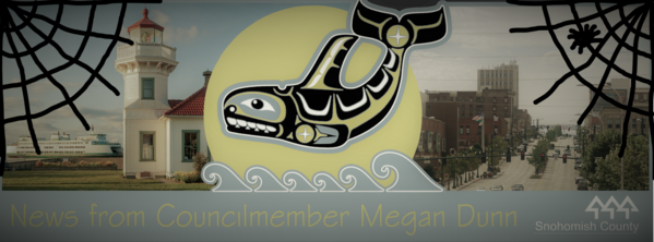 Spooky Banner for Councilmember Dunn's Halloween Newsletter