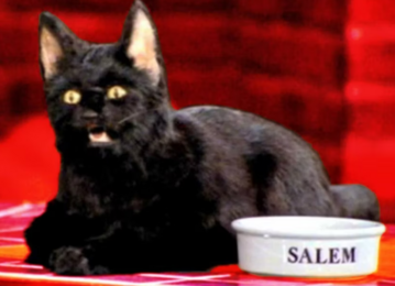 Salem the Cat