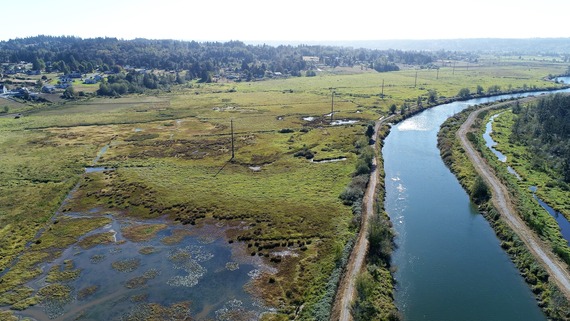 Chinook Marsh aerial view - looking south