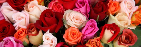 Feb 2024 Newsletter Page Break 2