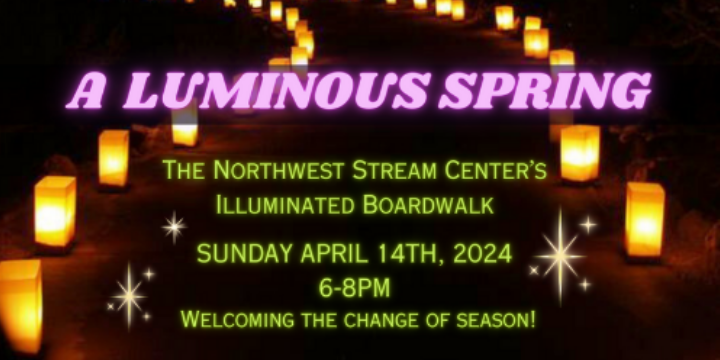 Illuminated Boardwalk