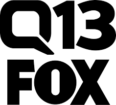 Q13 Logo