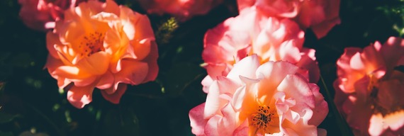 April 2024 Section 2