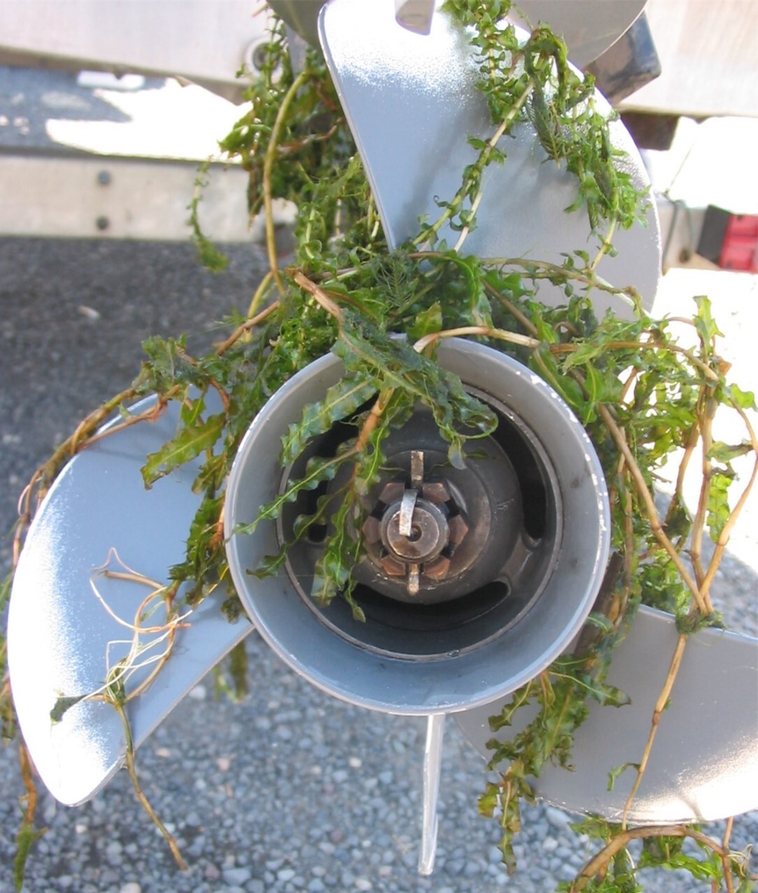 Boat Propeller with Milfoil