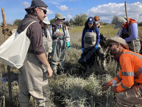 Snohomish County's Noxious Weed Team 