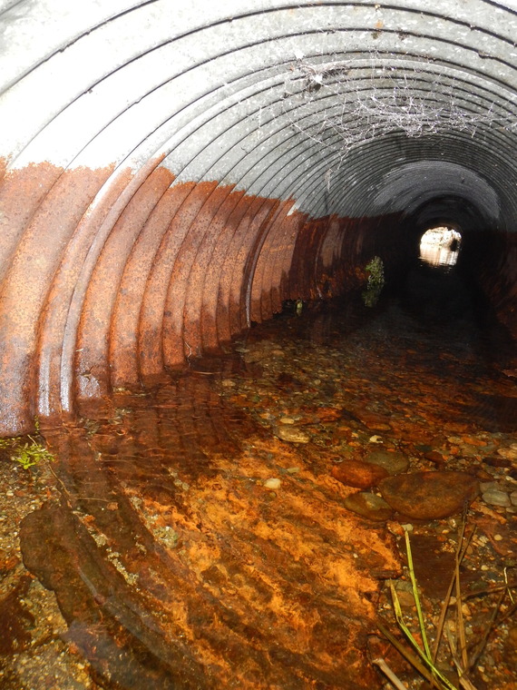 Squire Creek Rd culvert replacement