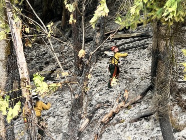 Bolt Creek Fire aftermath.