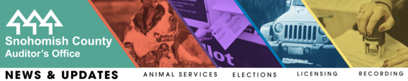 Auditor's Office: Animal Services, Elections, Licensing, and Recording