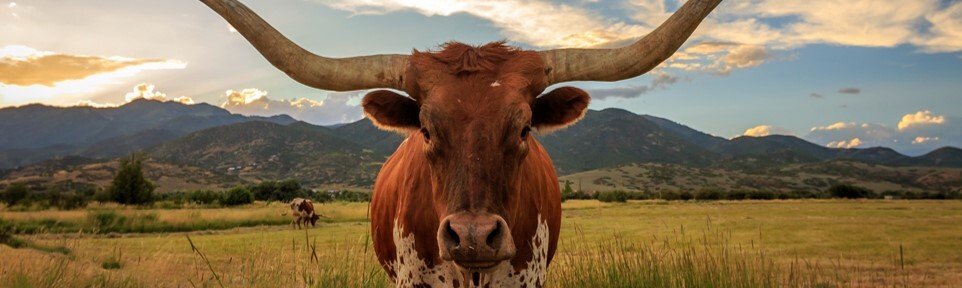 October 2024 Section Pic 3