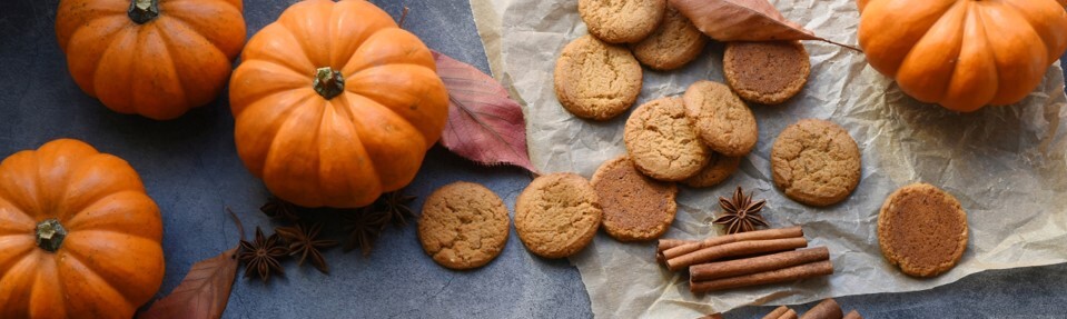 October 2024 Section Pic 2