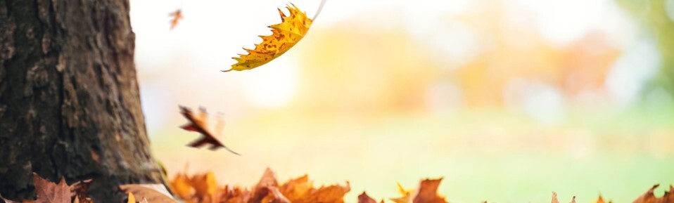 October 2024 Section Pic 3