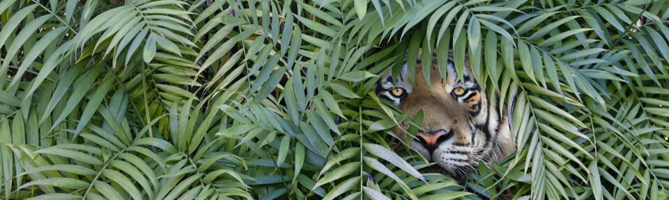 November Section Pic 4