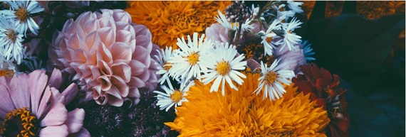 November Section Pic 1