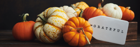 November Section pic 1