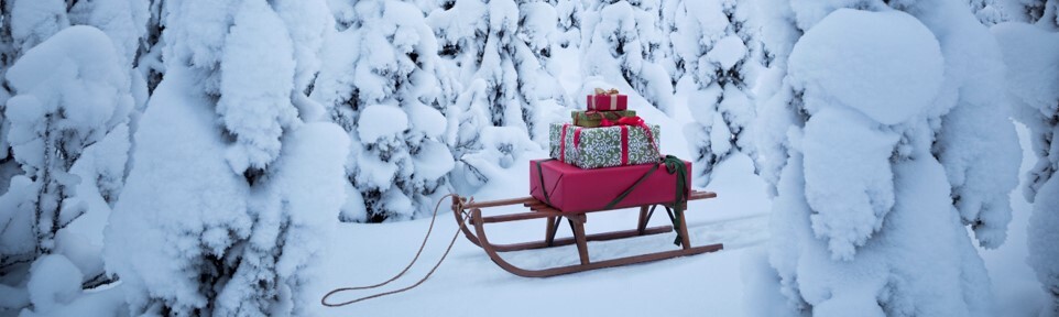 December Section Pic 5