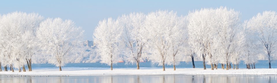 January Section Pic 3