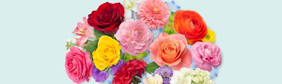 Feb 2025 Section Pic 2