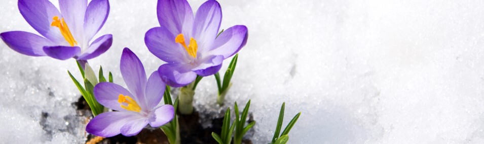 Feb 2025 Section Pic 3