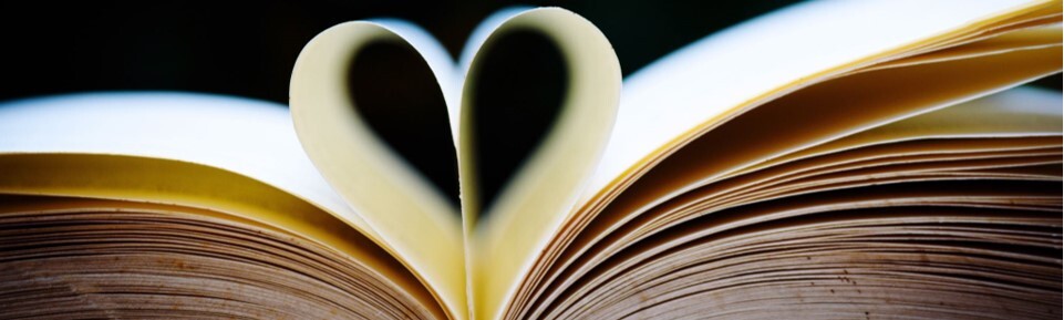 Feb 2025 Section Pic 4