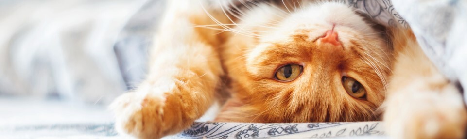 Feb 2025 Section Pic 5