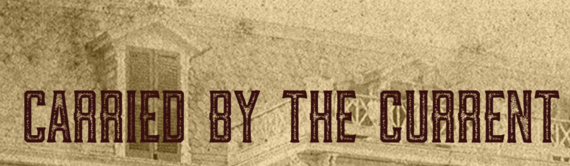 Carried by the current