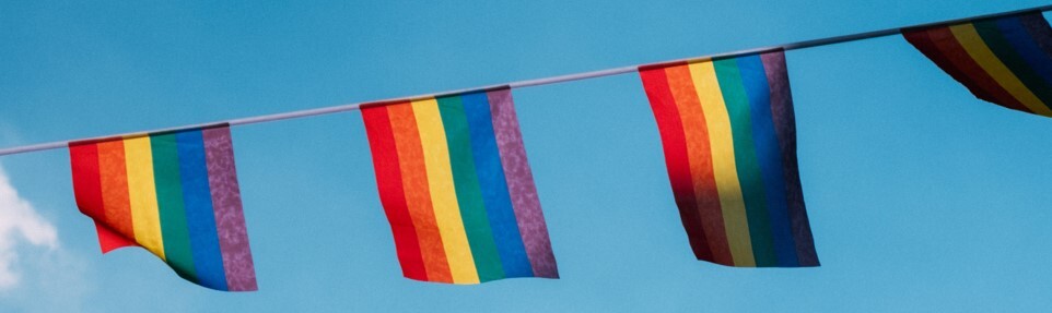 June Section Heading Pic 2