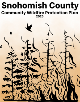 Cover of Community Wildfire Protection Plan with illustration of forest fire