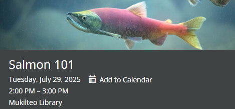 Salmon 101