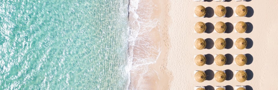 August Section Pic 1