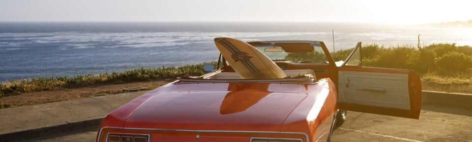 August Section Pic 3