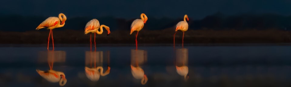 August Section Pic 4