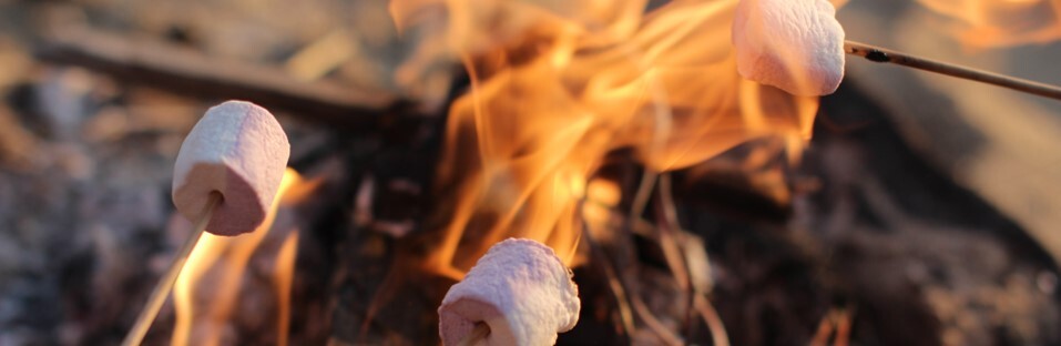 August Section Pic 5