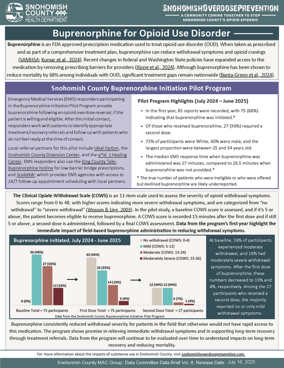 Data brief on buprenorphine pilot project